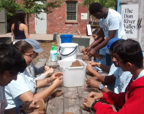 STEM Club outing to DonRiver Valley Park