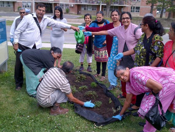 Community Gardening