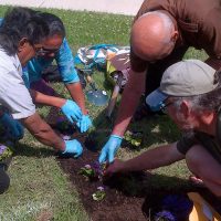Planting at the Hub