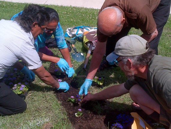 Planting at the Hub